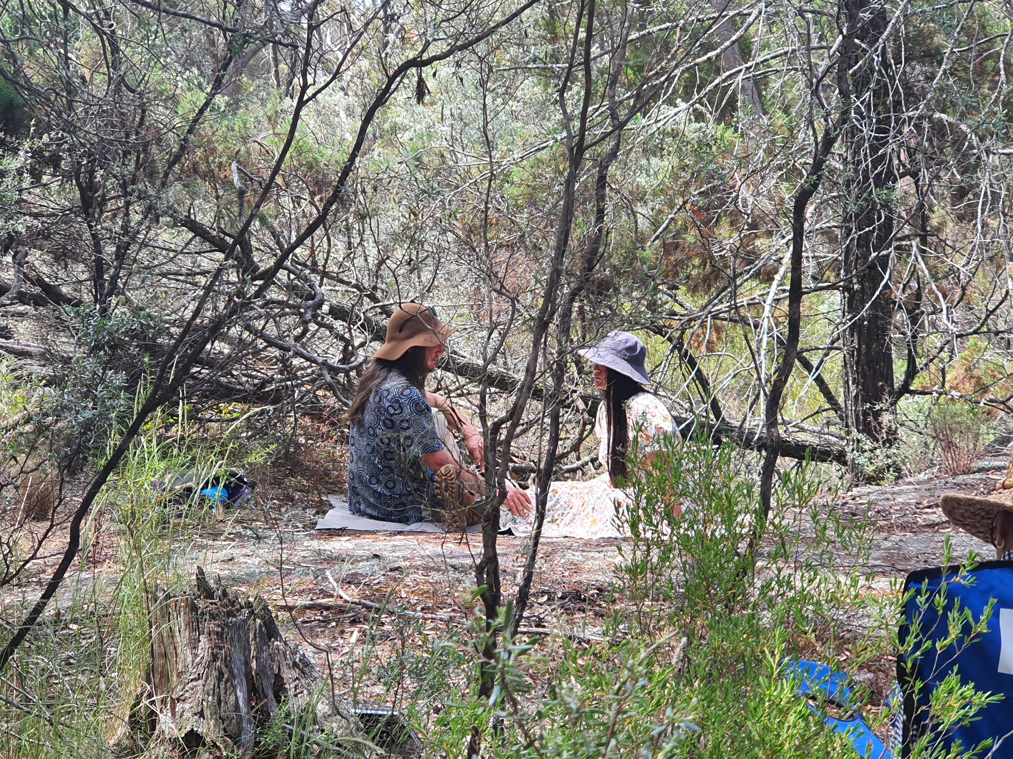 Workshop reflections – High Country Deep Time Drawing and Painting ...